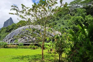 moorea-museum-visit-fare-natura-guided-tour