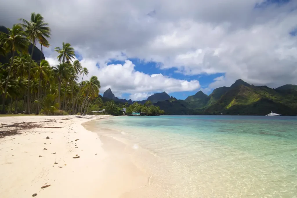 Plage de sable blanc de Moorea avec la cocoteraie de la plage publique et les montagnes en arrière plan