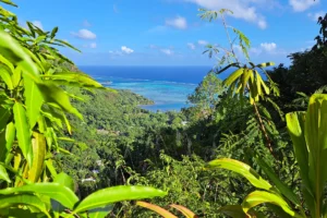 View of Papeetoai Lagoon through tropical vegetation from Magic Mountain in Moorea