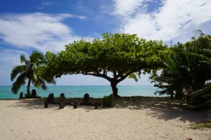 Plage de Pineapple Beach avec lagon turquoise, arbre tropical et petites pierres sculptées polynésiennes