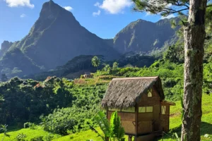 Small Polynesian fare in the forest with Moorea’s volcanic mountains in the background