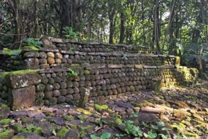 Mur de pierres volcaniques d’un marae ancien dans la forêt d’Opunohu pendant une excursion culturelle privée