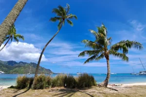 Ta’ahiamanu public beach with palm trees, turquoise lagoon and mountains during a private Moorea tour