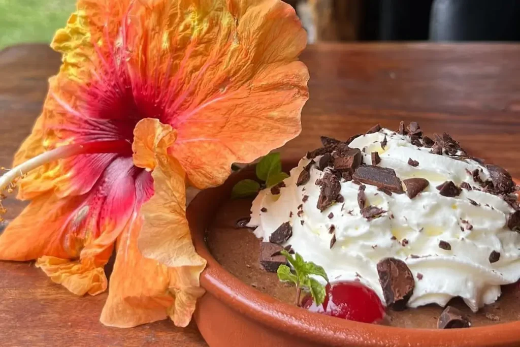 Une mousse au chocolat servie avec des la chantilly et des morceaux de chocolat dans une coupelle en terre cuite. Une fleur d'hibiscus orange est posée sur le coté