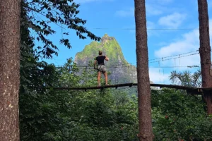 Participant sur une passerelle suspendue du Tiki Parc face aux reliefs volcaniques de Moorea