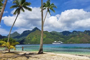 Mareto Ta’ahiamanu Beach with palm trees, mountains and a cruise ship in Moorea’s bay