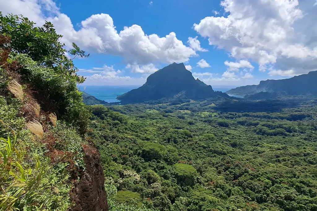 Vue spectaculaire sur le mont Rotui et les montagnes volcaniques de Moorea depuis le sentier du col des Trois Cocotiers.