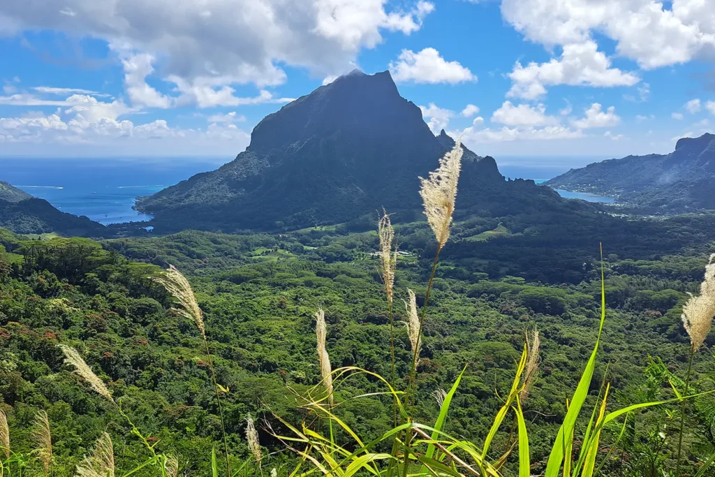 Vue panoramique sur le mont Rotui, la baie de Cook et la baie d’Opunohu depuis le sentier du col des Trois Cocotiers à Moorea.