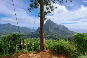 3 Pinus swing overlooking Mount Rotui and the valleys of Moorea