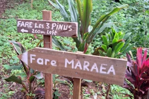 Wooden signs for Fare Les 3 Pinus and Fare Maraea along a hiking trail in Moorea