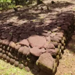 Un marae, site sacré Polynésien sur le sentier des ancêtres à Moorea lors d'une excursion privée