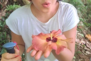 Orange tropical flower held during a guided hike to 3 Pinus in Moorea