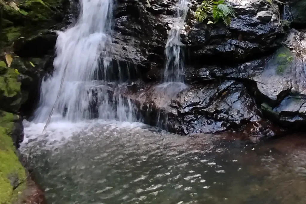 Une petite cascade d'eau à Moorea