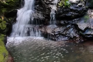 Une petite cascade d'eau à Moorea