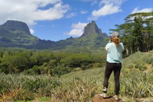 Femme photographiant les champs d’ananas et les montagnes de la vallée d’Opunohu à Moorea