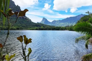 Vue sur le lagon d’Opunohu encadré de végétation avec montagnes volcaniques en arrière-plan