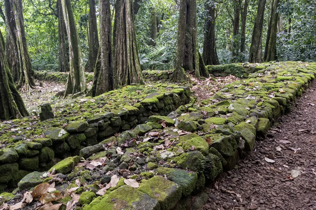 polynesia-ancient-marae-guided-visit-in-moorea