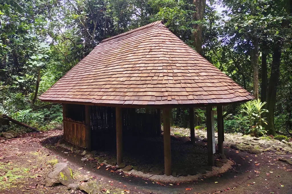 Un bâtiment reconstitué comme le faisait les Polynésiens autrefois en plein milieu de la foret