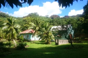 Maison traditionnelle dans un jardin tropical avec cocotiers dans la baie d’Opunohu à Moorea