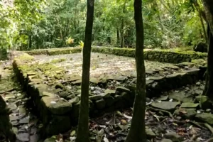 Grande plateforme cérémonielle en pierres volcaniques dans la forêt d’Opunohu à Moorea