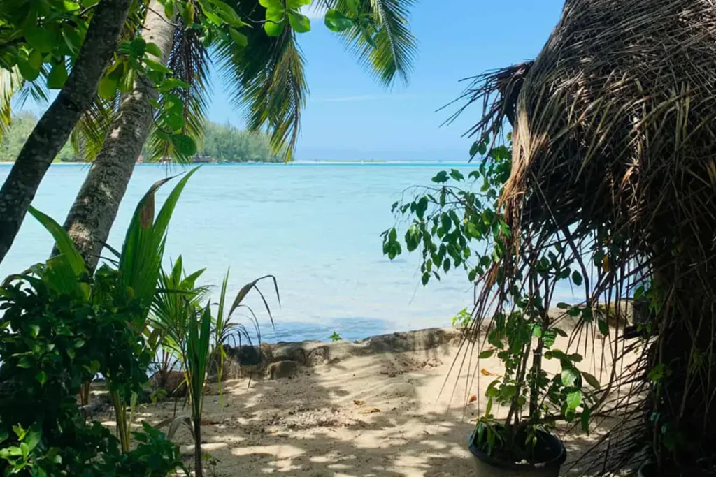 vue sur un bord de lagon à Moorea, au premier plan le coin d'un fare tahitien et un cocotier et à l'arriere plan, le lagon bleu turquoise de Moorea