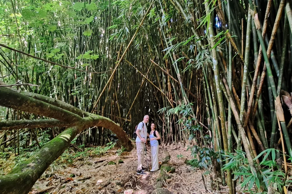 private-hiking-tour-bamboo-groove-moorea-3-coconut-pass