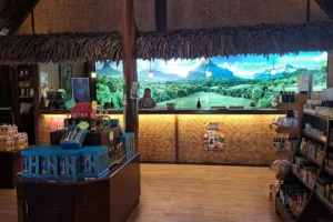 Comptoir lumineux de dégustation au fond de la boutique Rotui Manutea à Moorea