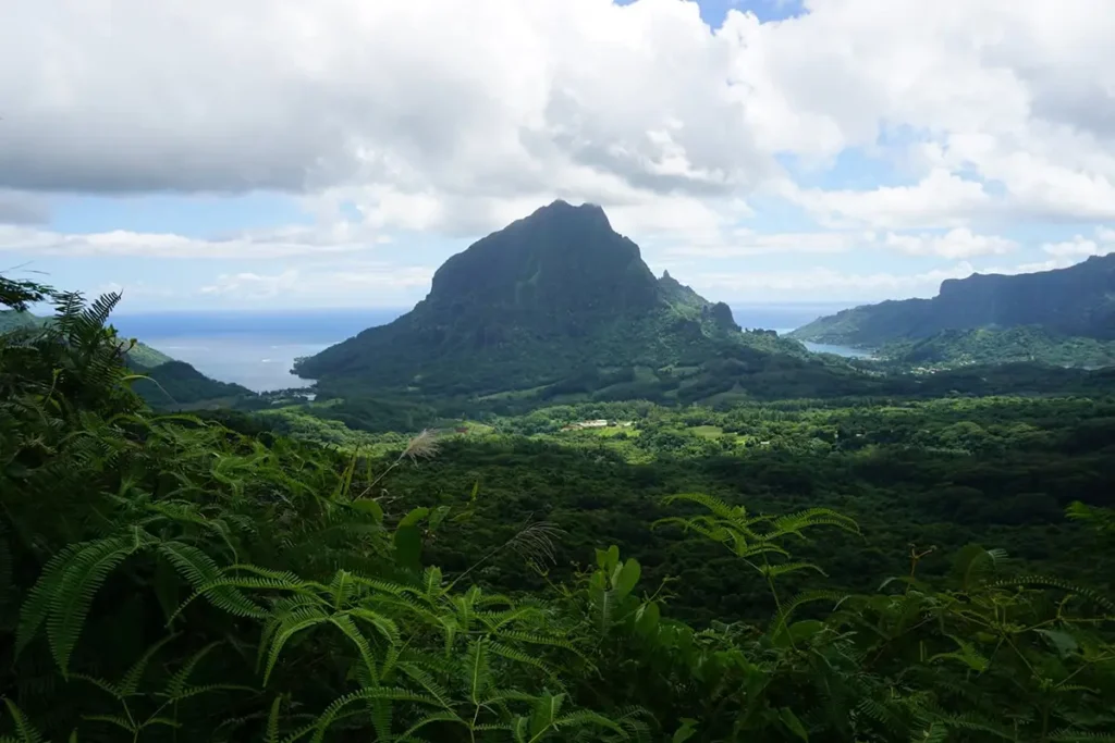 Panorama de l'ile de Moorea, vue sur le mont Rotui et les baies de Opunohu et Cook