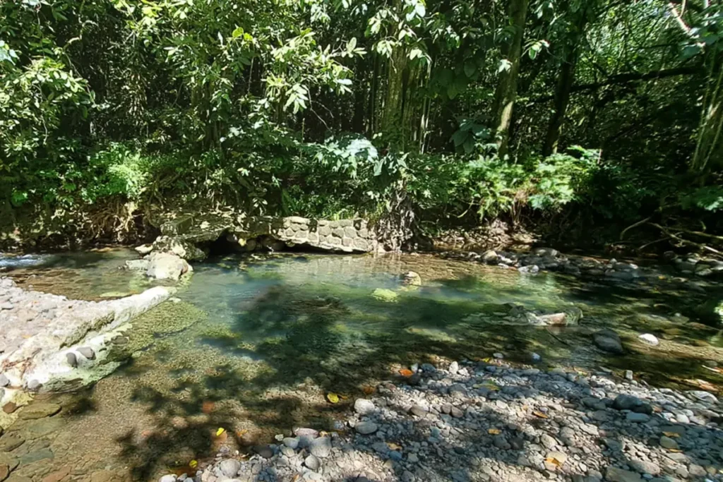 Un trou d'eau au lycée agricole de Moorea