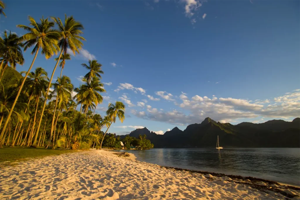 Vue sur la plage Mareto de Moorea en bord de lagon avec lumière chaudes de fins de journée sur la cocoteraie de la plage