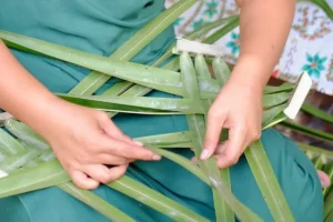 gros plan sur les mains d'une femme en train de tresser une palme de cocotier. Elle porte un paréo vert