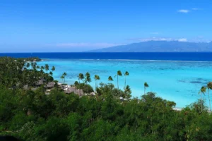 Panoramic view of turquoise Temae Lagoon, palm trees and Tahiti from Mount Paaru Iti in Moorea