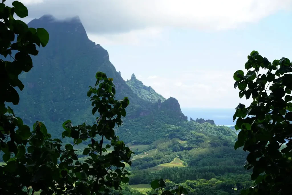 Le flanc de la montagne Rotui à Moorea