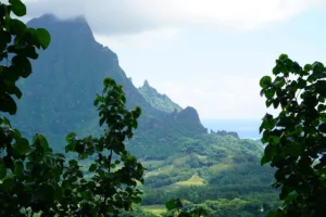 Reliefs volcaniques de Moorea vus à travers la végétation depuis le sentier du col des Trois Cocotiers.