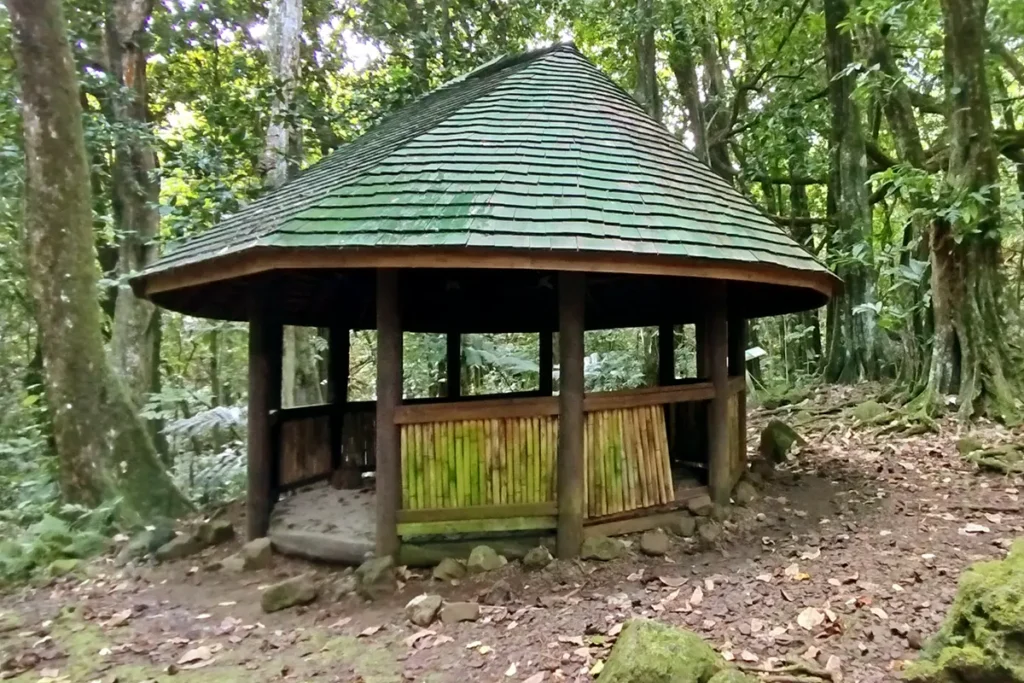 Une cabane traditionnelle Polynésienne en bois dans une foret de Moorea