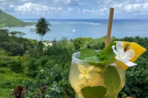 Boisson tropicale avec fleur de vanille servie face au lagon depuis le Moorea Tropical Garden