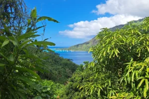 View of the turquoise lagoon and Mareto Ta’ahiamanu Beach through tropical vegetation from Magic Mountain in Moorea