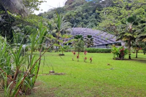 visit-fare-natura-museum-moorea-guided-tour-shore-excursion