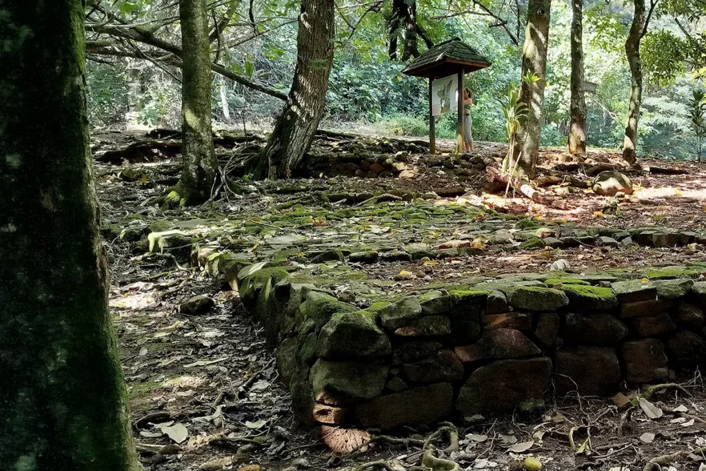 Un Marae Polynésien un peu effacé par le temps. La nature reprend ses droits sur cette construction historique.