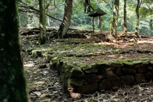 Un Marae Polynésien un peu effacé par le temps. La nature reprend ses droits sur cette construction historique.