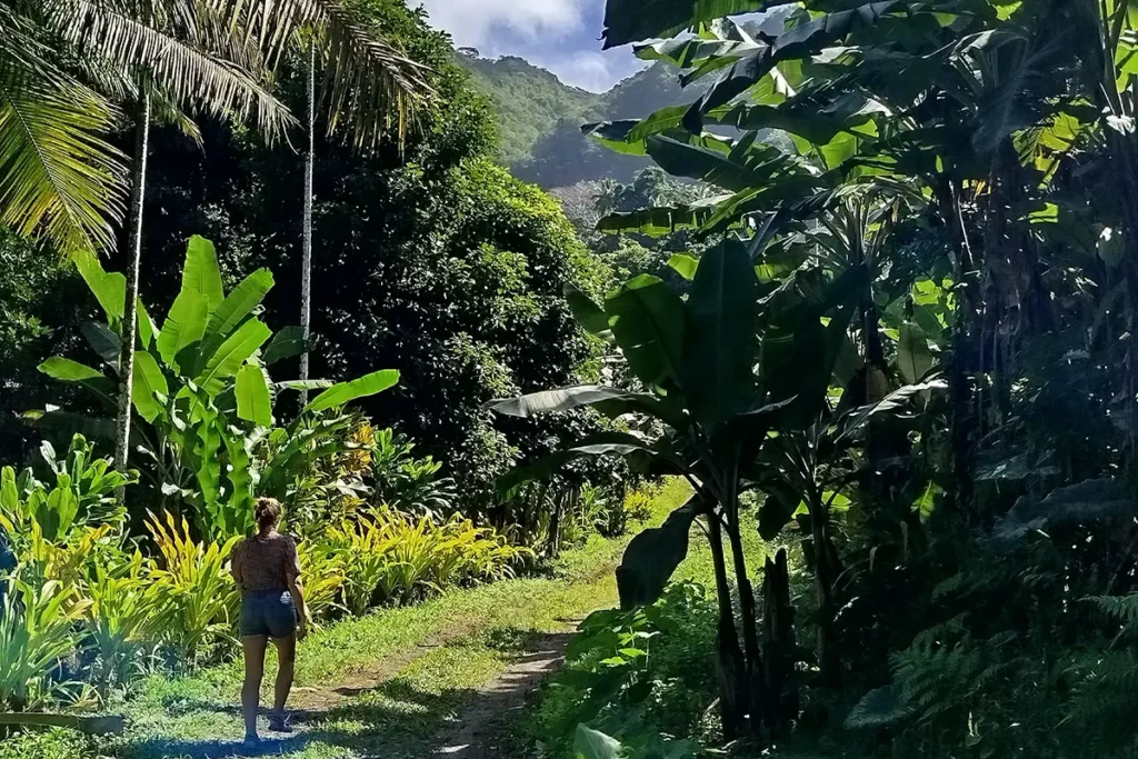 Une femme marche sur un sentier à Moorea sous une végétation verdoyante