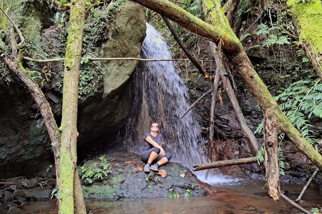 waterfall-guided-hike-moorea