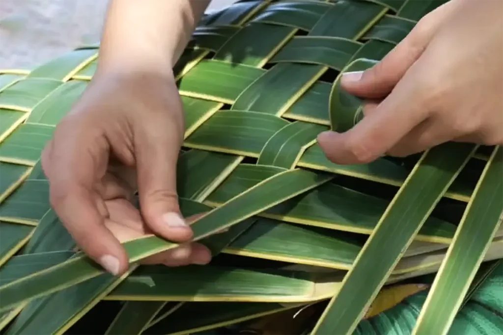 Les mains d'une femme polynésienne qui exerce une activité de tressage d'une palme de cocotier.
