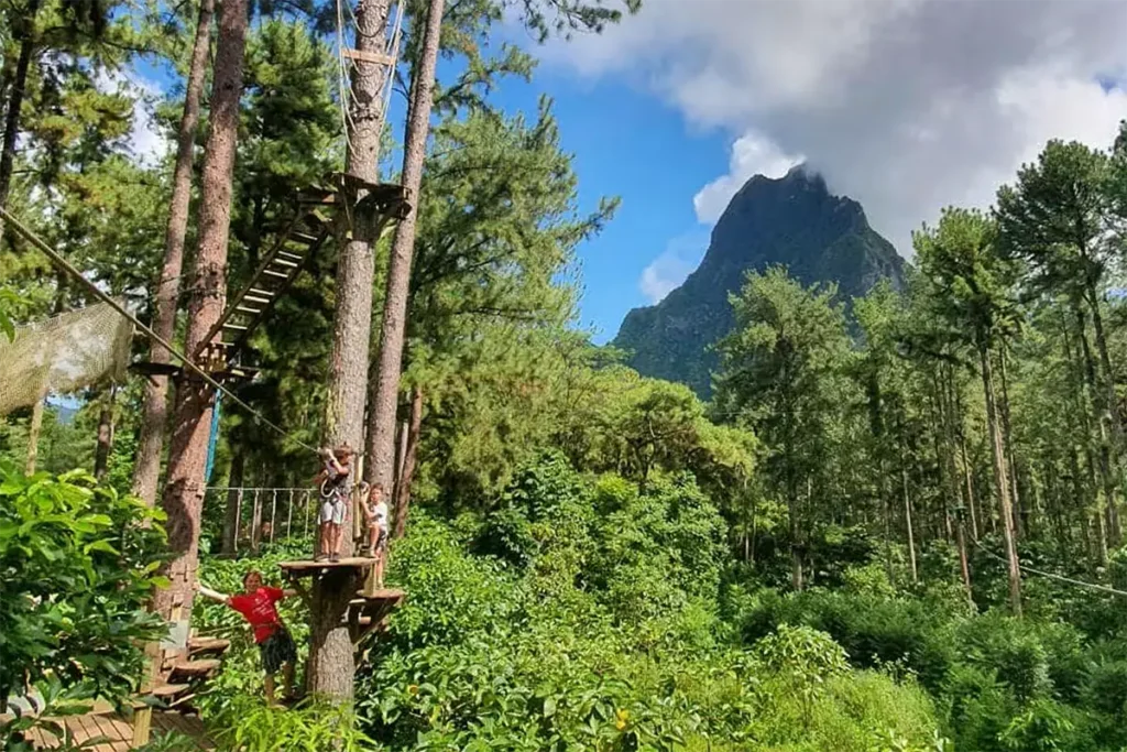 Des enfants font un parcours aventure dans les arbres avec un tyrolienne au tiki parc de Moorea. Le mont Rotui est en arrière plan